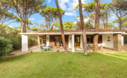 Modern single-story house surrounded by tall pine trees and lush green grass, featuring a spacious outdoor area with seating and large windows for natural light.