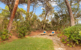 Relaxing outdoor space with two lounge chairs surrounded by lush greenery and trees, ideal for enjoying nature and tranquility.