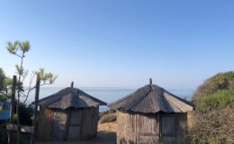 Two rustic beach huts surrounded by greenery, overlooking a calm sea under a clear blue sky. Ideal for a serene coastal getaway.