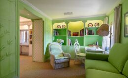 Bright and inviting green-themed room featuring a cozy seating area with a green sofa and striped armchair, surrounded by built-in shelves filled with books and decorative items. Natural light streams in through the window, enhancing the vibrant decor.