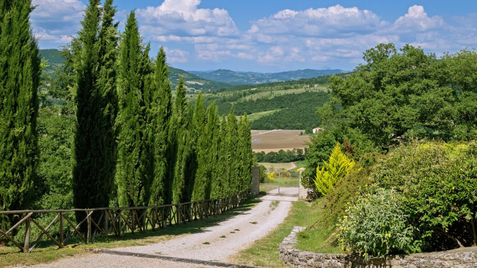 Scenic view of a gravel driveway bordered by tall cypress trees, leading to a gated entrance with lush green hills and fields in the background under a bright blue sky with fluffy clouds. | Only on SopranoVillas