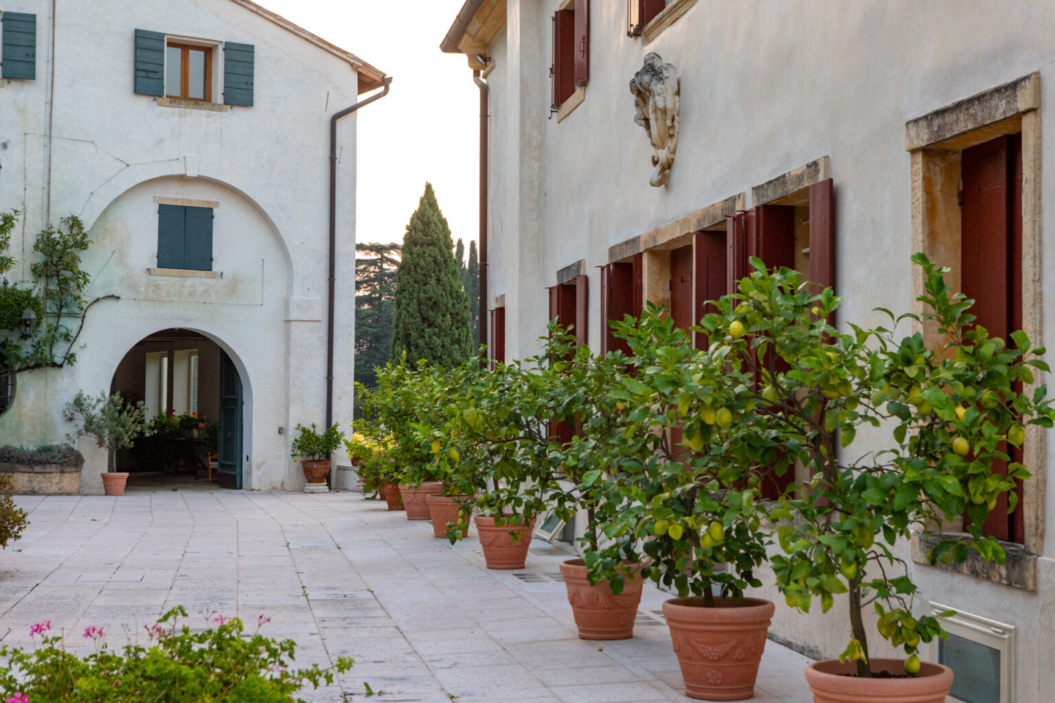 Charming courtyard of a rustic villa featuring terracotta pots with lemon trees, surrounded by a whitewashed building with green shutters and an arched entrance, creating a serene outdoor atmosphere. | Only on SopranoVillas