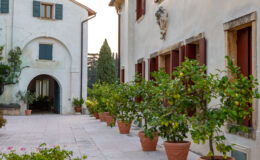 Charming courtyard of a rustic villa featuring terracotta pots with lemon trees, surrounded by a whitewashed building with green shutters and an arched entrance, creating a serene outdoor atmosphere.