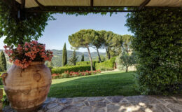 Scenic view from a stone patio featuring a large terracotta pot with pink flowers, lush green lawn, and a backdrop of rolling hills and trees under a clear blue sky.