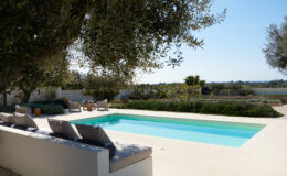 Serene outdoor pool area with olive trees, comfortable lounge chairs, and a scenic landscape in the background, perfect for relaxation and leisure.