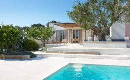 Modern villa with a swimming pool, surrounded by lush greenery and a sunny sky, featuring a spacious outdoor area and stylish architectural design.