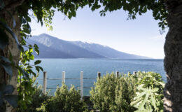 Scenic view of a tranquil lake framed by lush greenery, with mountains in the background under a clear blue sky. Ideal for nature lovers and travel enthusiasts.
