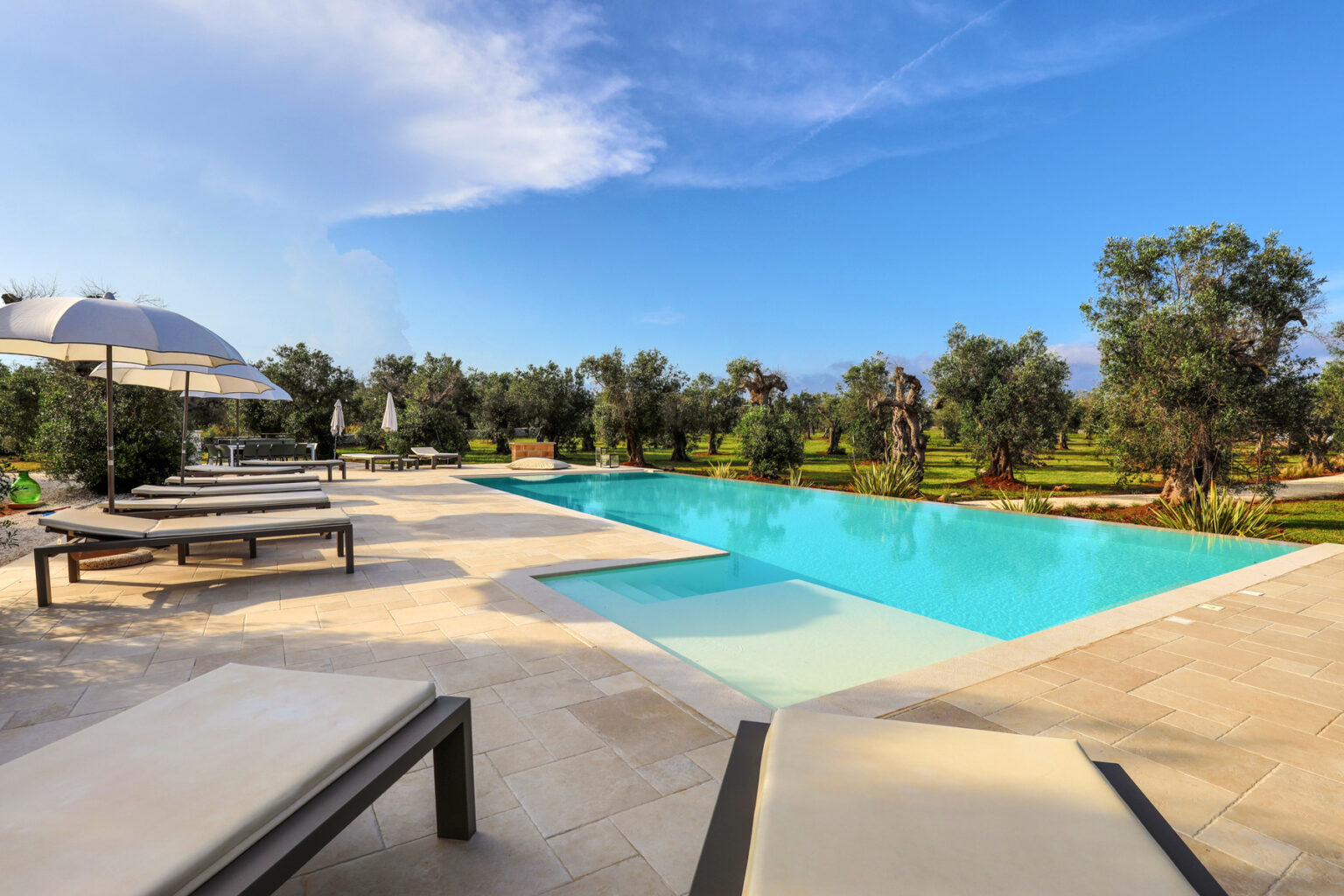 Luxurious outdoor swimming pool surrounded by olive trees and sun loungers, set against a clear blue sky, ideal for relaxation and leisure. | Only on SopranoVillas