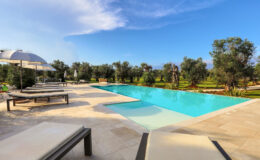 Luxurious outdoor swimming pool surrounded by olive trees and sun loungers, set against a clear blue sky, ideal for relaxation and leisure.