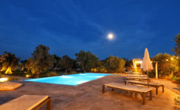 Outdoor swimming pool illuminated at night, surrounded by trees and lounge chairs, with a full moon in a clear sky. Ideal for relaxation and evening gatherings.
