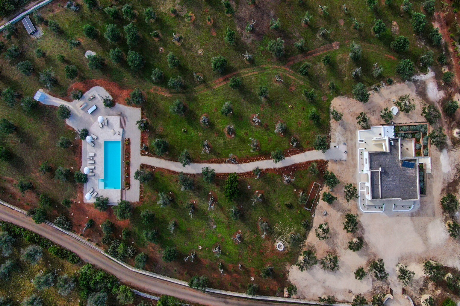 Aerial view of a modern property featuring a swimming pool surrounded by landscaped gardens and olive trees, with a winding pathway leading to a contemporary house. | Only on SopranoVillas
