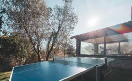Outdoor ping pong table set in a garden surrounded by olive trees, with a clear blue sky and sunlight streaming through. A cozy shed is visible in the background, enhancing the serene atmosphere.