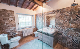 Modern bathroom interior featuring a glass shower, patterned tile walls, wooden ceiling beams, and a stylish vanity with a sink, complemented by a white toilet. Natural light streams through the window, enhancing the spacious feel.