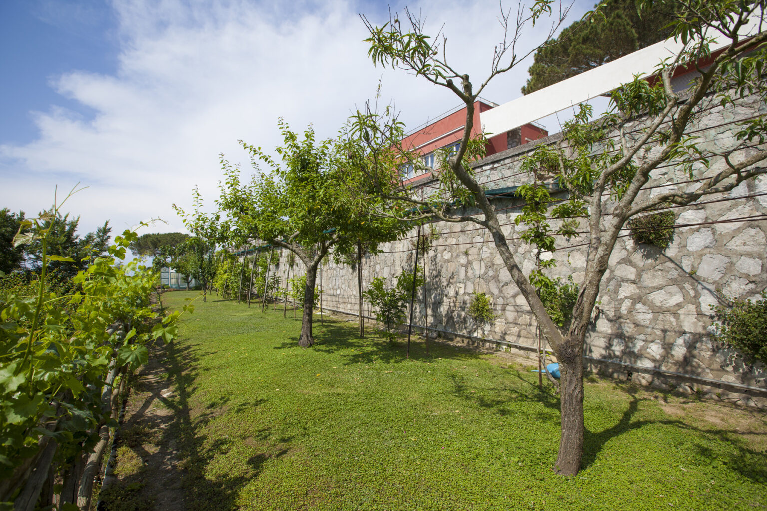 Lush garden with stone wall and fruit trees under a clear blue sky, showcasing a well-maintained outdoor space. | Only on SopranoVillas