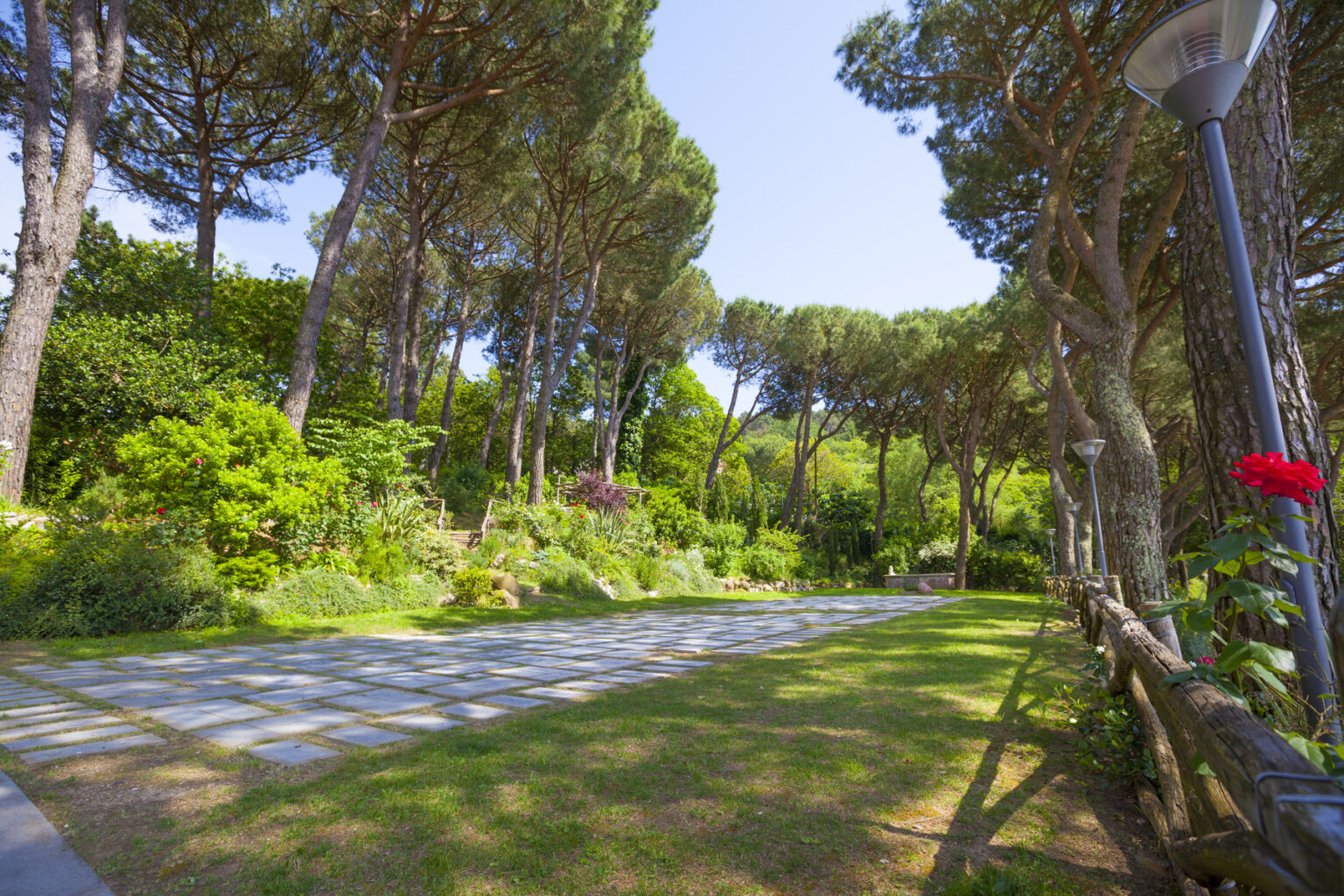Scenic garden pathway lined with tall pine trees and vibrant greenery under a clear blue sky. | Only on SopranoVillas