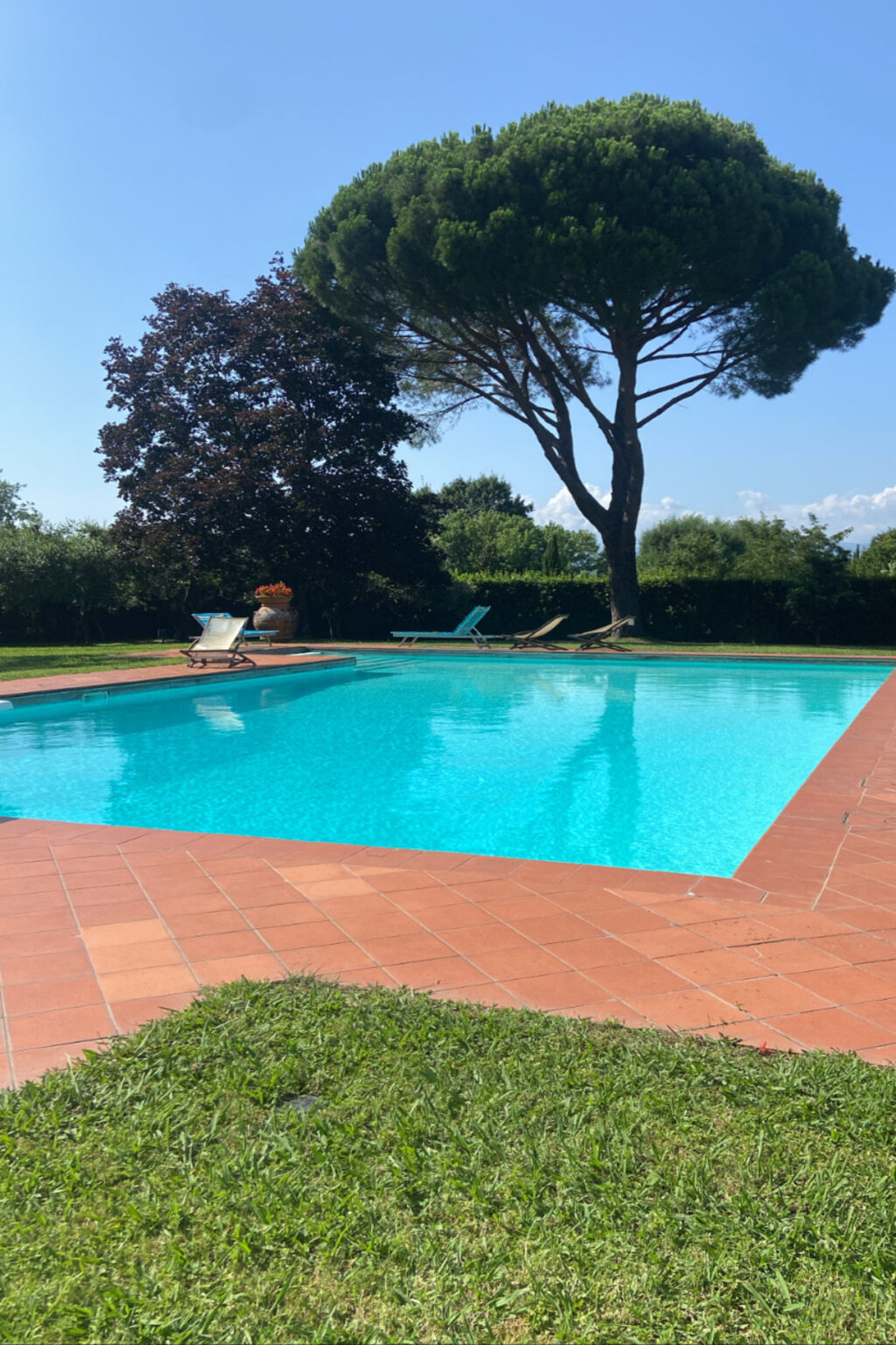 Bright blue swimming pool surrounded by lush greenery and sun loungers, perfect for relaxation on a sunny day. | Only on SopranoVillas
