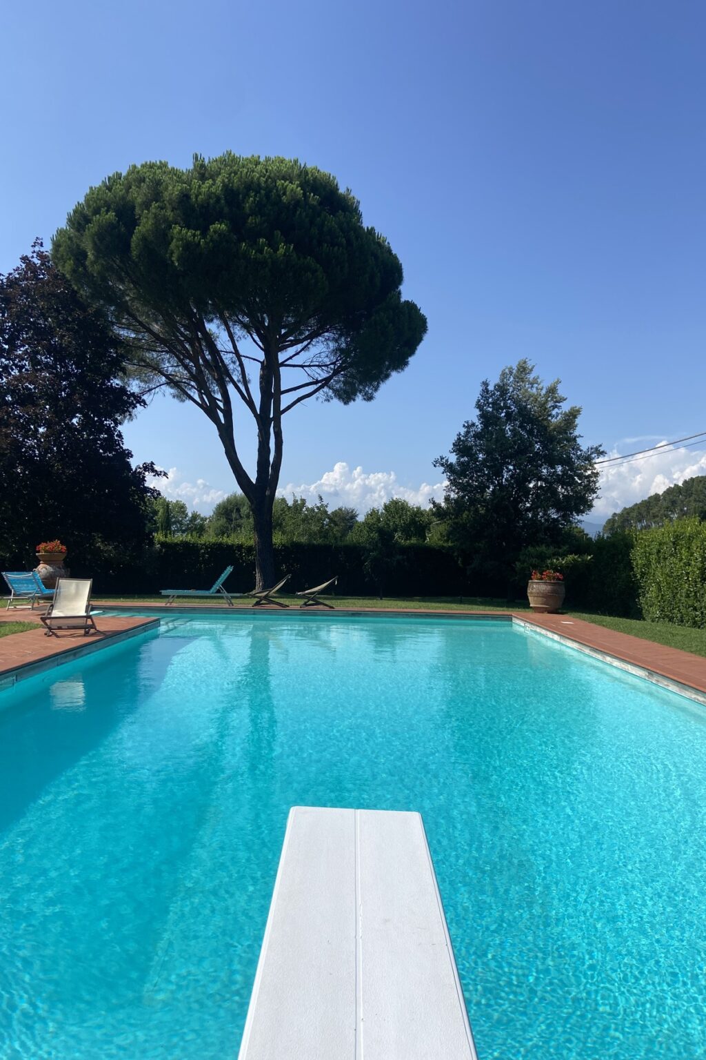 Serene swimming pool surrounded by lush greenery and lounge chairs under a clear blue sky, perfect for relaxation and leisure. | Only on SopranoVillas