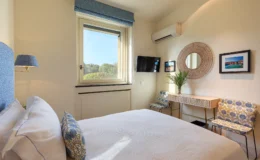 Cozy hotel bedroom featuring a comfortable bed with decorative pillows, stylish chairs, a modern TV, and a large window offering natural light and a view of greenery. The room is adorned with elegant decor, including a round mirror and a small plant on a desk, creating a welcoming atmosphere for guests.