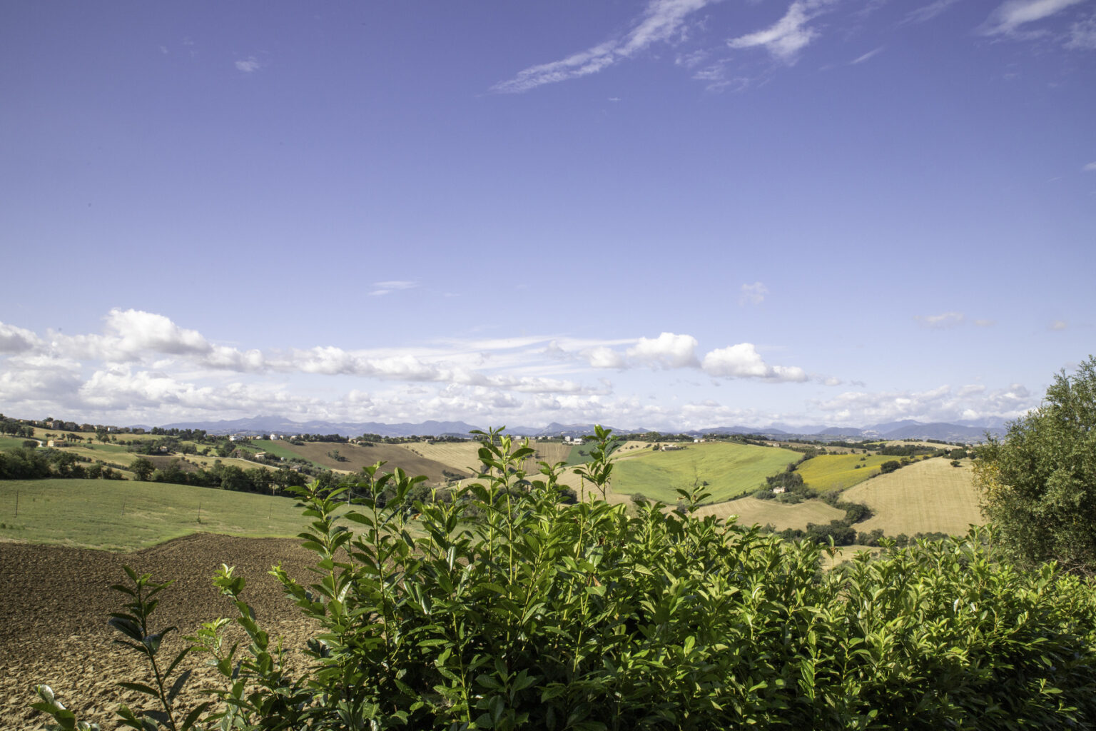 Lush green hills under a blue sky with fluffy clouds, showcasing a picturesque rural landscape in Italy, with foreground foliage and distant mountains. | Only on SopranoVillas