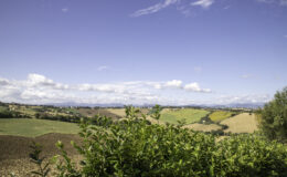 Lush green hills under a blue sky with fluffy clouds, showcasing a picturesque rural landscape in Italy, with foreground foliage and distant mountains.