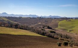 Scenic view of rolling hills and farmland under a clear blue sky, showcasing lush green fields and brown earth tones, with distant mountains in the background. Ideal for illustrating rural landscapes and agricultural beauty.