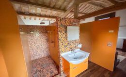 Modern bathroom interior featuring vibrant orange walls, a spacious shower area with mosaic tiles, and a stylish sink with a mirror. Natural light enhances the design, creating a warm and inviting atmosphere.