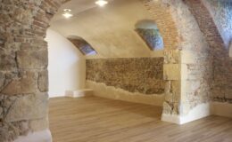 Interior view of a spacious room featuring exposed stone walls and arched brick ceilings, illuminated by modern ceiling lights, with a wooden floor and minimalist design.