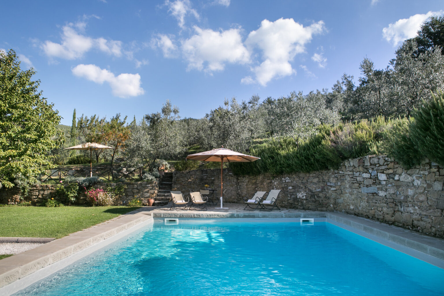 Luxurious outdoor swimming pool surrounded by lush greenery and olive trees, featuring sun loungers and umbrellas under a clear blue sky. Perfect for relaxation and leisure in a tranquil setting. | Only on SopranoVillas