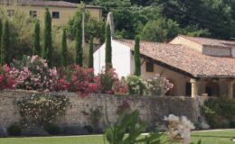 Beautiful countryside scene featuring a stone wall adorned with vibrant pink and white flowers, lush green grass, and tall cypress trees, alongside rustic Italian architecture with a terracotta roof. Ideal for showcasing Mediterranean landscaping and serene outdoor settings.