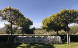 Outdoor dining setup under trees with a scenic view, featuring a long table covered with a white tablecloth and surrounded by chairs, ideal for gatherings or events in nature.