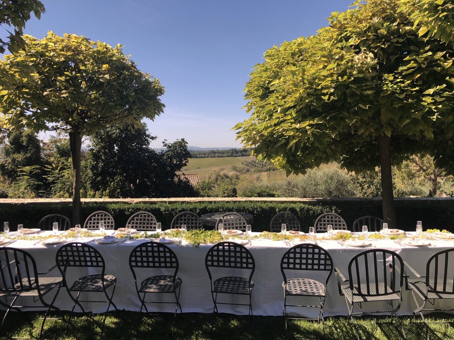 Outdoor dining setup with a long table and black chairs, surrounded by lush greenery and trees, overlooking a picturesque vineyard landscape under a clear blue sky. | Only on SopranoVillas