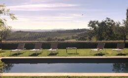 Relaxing outdoor pool area with lounge chairs set against a picturesque vineyard landscape, featuring rolling hills and a clear blue sky. Ideal for a tranquil getaway or vacation retreat.