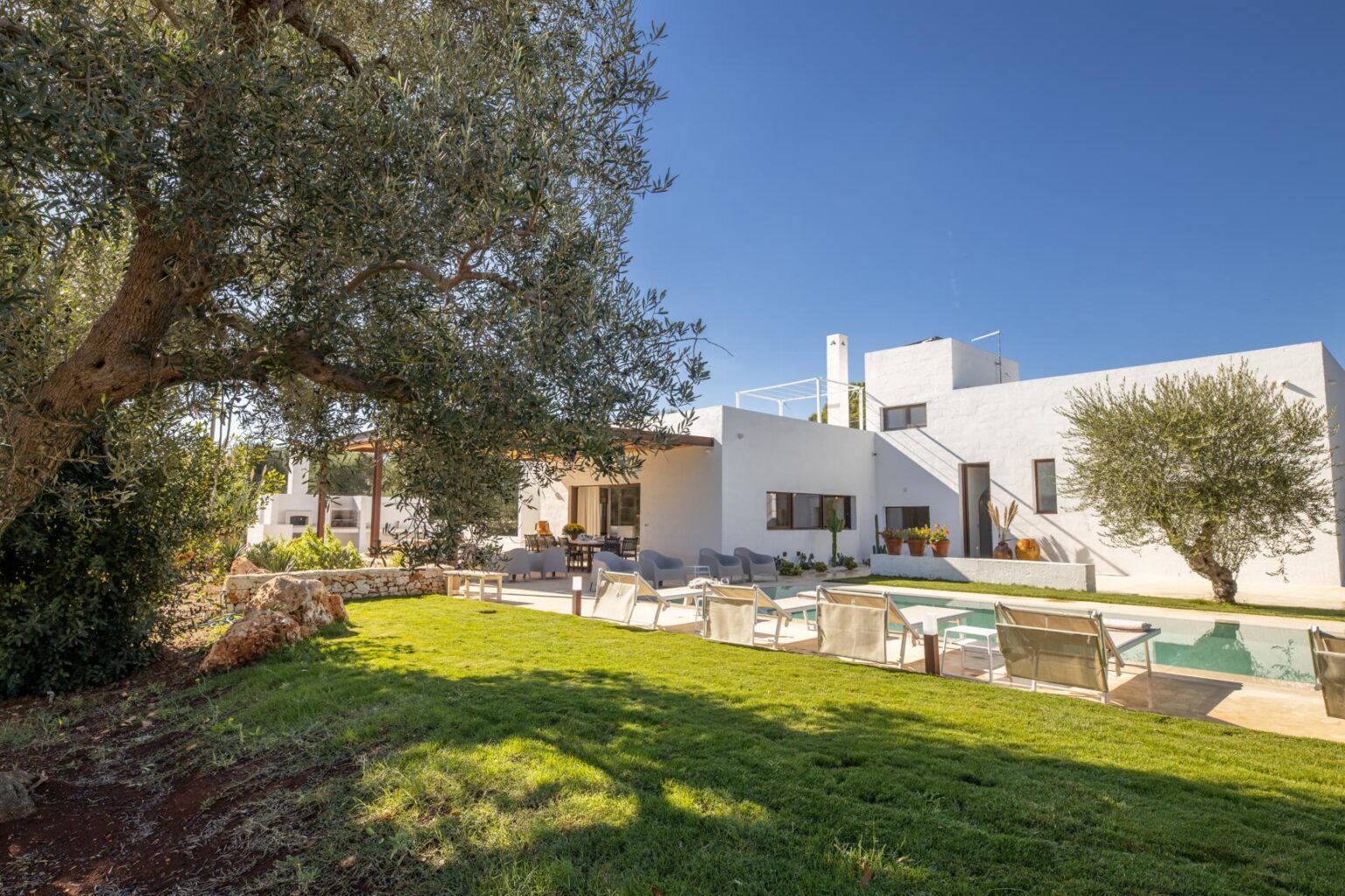 Modern white villa surrounded by lush greenery and olive trees, featuring a swimming pool and outdoor seating area, ideal for relaxation and leisure. | Only on SopranoVillas