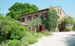 Charming rustic stone house surrounded by lush greenery and blooming flowers, with wooden shutters and a gravel pathway leading to the entrance. Ideal for showcasing countryside architecture and landscaping.