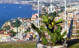  | Only on SopranoVillas