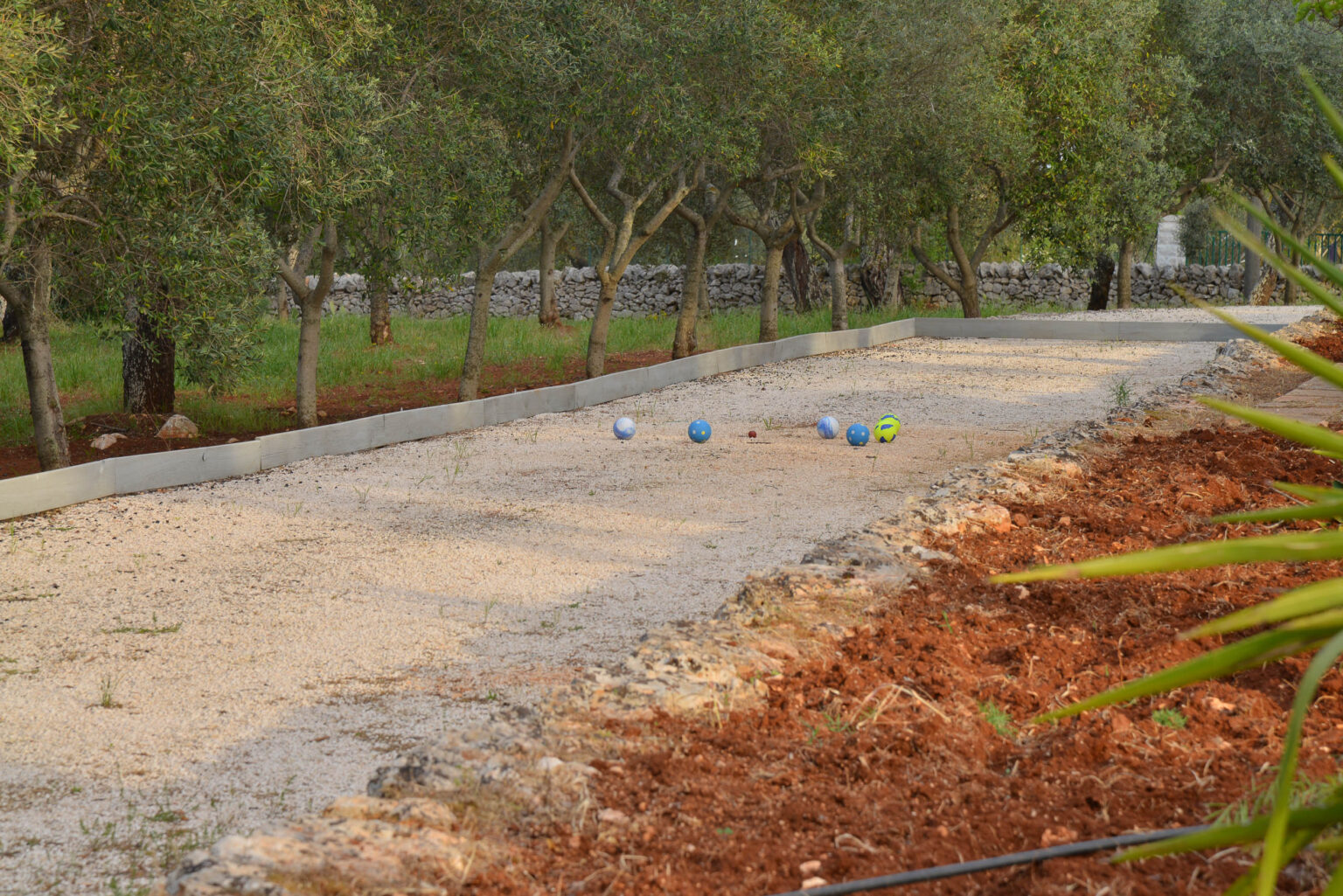 Gravel pathway in a landscaped garden with olive trees and colorful bocce balls scattered along the edge, showcasing a serene outdoor recreational space. | Only on SopranoVillas
