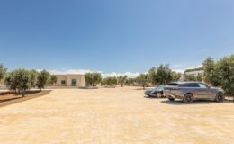 Spacious outdoor parking area featuring two cars, surrounded by olive trees and a clear blue sky, with a modern building in the background.