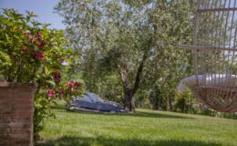Lush garden scene featuring vibrant flowers in a pot, a grassy lawn, and a serene olive tree in the background, with a hanging chair partially visible.