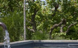 Serene backyard scene featuring a swimming pool with a water feature, surrounded by lush greenery, including tall grass and a gnarled tree. Ideal for relaxation and outdoor living.