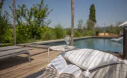 Relaxing outdoor lounge area with a pool, featuring comfortable chairs, decorative pillows, and a glass of drink, surrounded by greenery and a clear blue sky.