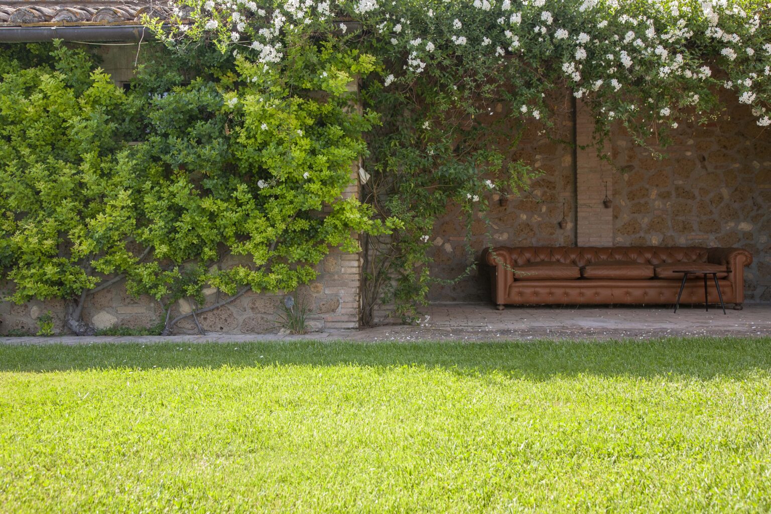 Lush green lawn with a wooden bench against a stone wall adorned with climbing plants, creating a serene outdoor seating area. | Only on SopranoVillas