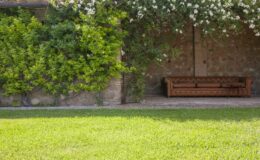 Lush green lawn with a wooden bench against a stone wall adorned with climbing plants, creating a serene outdoor seating area.
