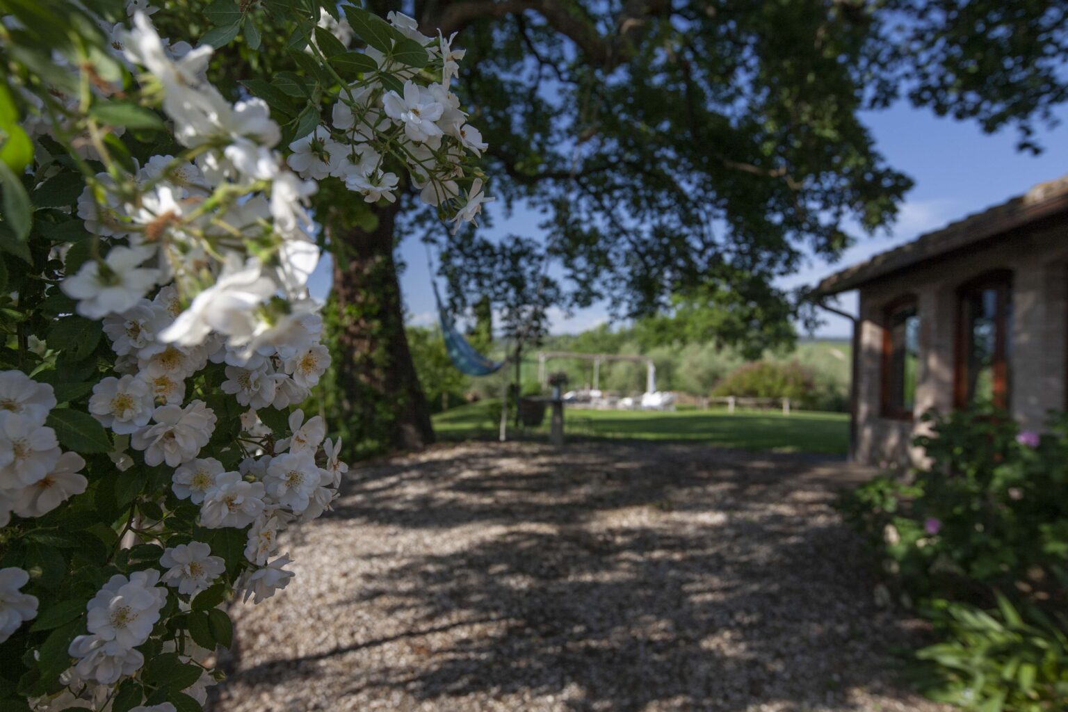 Blooming white flowers frame a scenic garden path leading to a rustic building, surrounded by lush greenery and a clear blue sky, ideal for nature lovers and outdoor events. | Only on SopranoVillas
