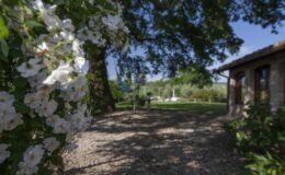 Blooming white flowers frame a scenic garden path leading to a rustic building, surrounded by lush greenery and a clear blue sky, ideal for nature lovers and outdoor events.