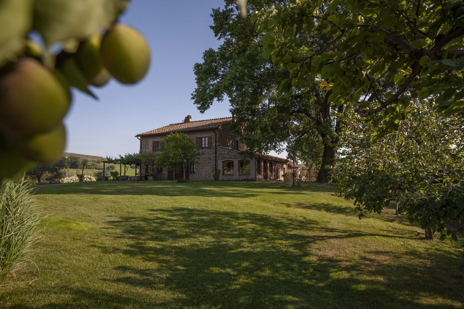 Scenic view of a rustic farmhouse surrounded by lush green lawns and trees, with a close-up of unripe fruit in the foreground, set against a clear blue sky. | Only on SopranoVillas