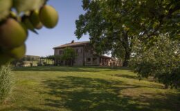 Scenic view of a rustic farmhouse surrounded by lush green lawns and trees, with a close-up of unripe fruit in the foreground, set against a clear blue sky.