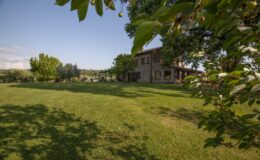 Scenic view of a spacious green lawn with a rustic house surrounded by trees under a clear blue sky, ideal for outdoor relaxation and nature enjoyment.
