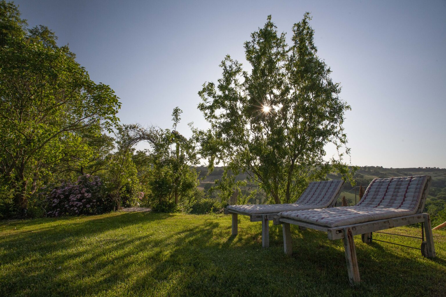 Lounge chairs on a grassy hillside surrounded by trees, with sunlight filtering through the foliage, creating a serene outdoor relaxation space. | Only on SopranoVillas