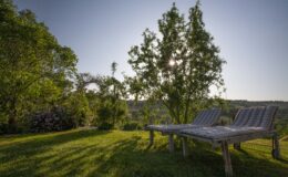 Lounge chairs on a grassy hillside surrounded by trees, with sunlight filtering through the foliage, creating a serene outdoor relaxation space.