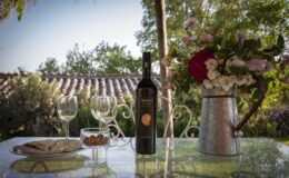 A serene outdoor setting featuring a bottle of wine, two wine glasses, a plate of snacks, and a vase of flowers on a glass table, with a backdrop of lush greenery and a rustic roof. Perfect for a relaxing wine tasting or outdoor gathering.